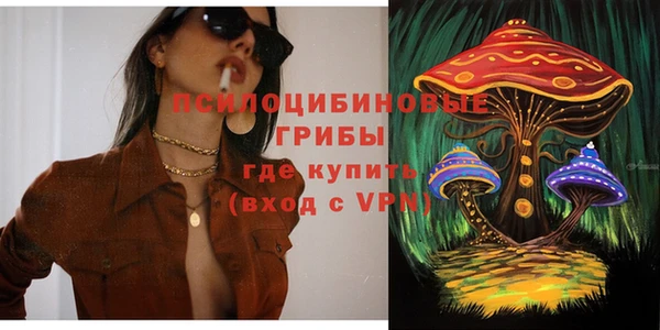 трава Бронницы