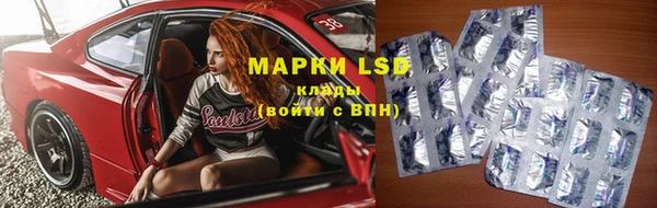 spice Богородск