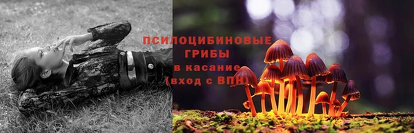 трава Бронницы